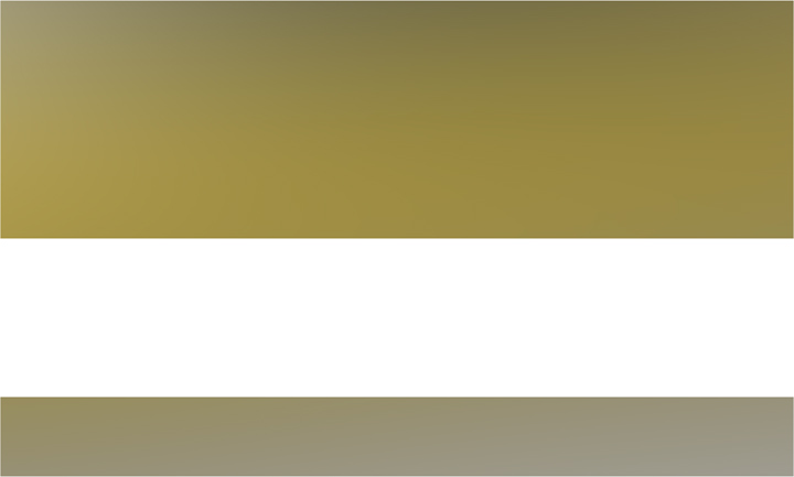 icono visualkey para el servicio de Goerna rectificado plano